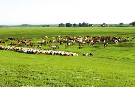 甘肃亚盛宝瓶河牧场在畜牧+旅游中走向绿色崛起